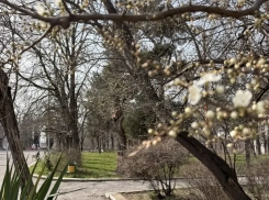 На утреннюю прогулку захватите зонтик