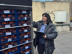 Ох уж эти мухи! В Новороссийск снова не пустили партию цитрусовых их Турции и Египта