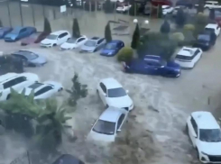 Вместо дворов - водопады: мощный ночной ливень затопил Сочи