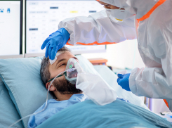 Количество заболевших коронавирусом держится на стабильном уровне