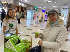 Новороссийцы собрали 75 килограммов батареек: во что они превратятся после переработки