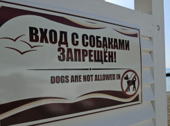 Гороскоп от «Блокнота»: Девам не избежать конфликтов, а Близнецам приготовиться к переменам