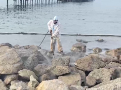 В Анапе отмывают камни от мазута - готовятся к курортному сезону 