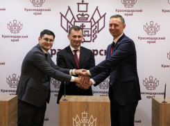 На строительство новых винодельческих комплексов в Новороссийске потратят почти 5 млрд рублей