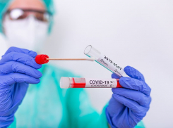 Новороссийск стал вторым лидером по заражениям COVID-19 в крае 
