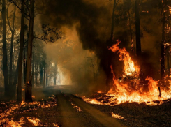 В Новороссийске установлен 4-й класс пожарной опасности