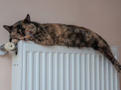 Нормативы по отоплению и законы в Новороссийске работают, когда удобно