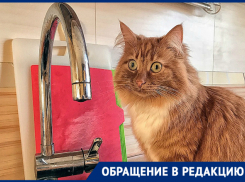 Целый ряд улиц Новороссийска может остаться без горячей воды на две недели