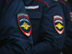 Новороссийские «наливайки»: кубанские власти взялись за анализ  