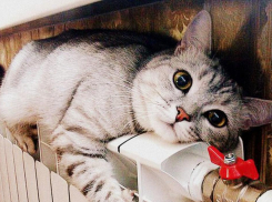 Теплосети Новороссийска обещают: в домах и квартирах будет тепло