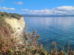 Генпрокуратура проверит детские лагеря на Черном море