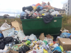Из-за долгов УК «Юг Новороссийск» мусор перестанут вывозить в Мысхако