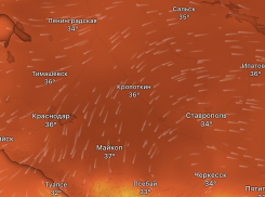 Пожароопасность и +37 градусов — когда новороссийцам снова ждать жары