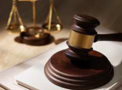 Обжаловать не получилось: автоледи из Раевской лишили прав на год