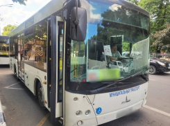 Автобусы сломались: новороссийцам придется корректировать маршрут 