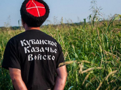 Казакам Новороссийска не хватает конопли 