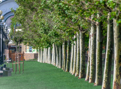 Погода в Новороссийске: высокая температура, ветер и дождь