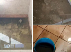 Как изменилась ситуация с реками фекалий в МКД Новороссийска после публикации «Блокнота»   