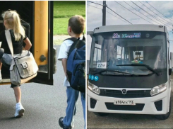 3 муниципальных автобуса запустят в Борисовке: расписание и остановки 