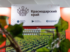 Новаторы из разных стран соберутся в Краснодарском крае: Международный форум «БИОПРОМ» пройдет в Геленджике