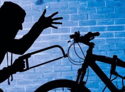 «Печкин» из Ростова угнал у новороссийца велосипед