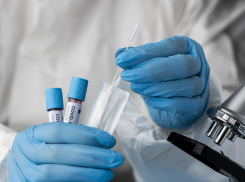 За неделю заболеваемость “ковидом” на Кубани выросла на 15%