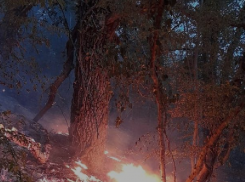 Сгорело 6 гектаров леса: пожароопасность не покидает Новороссийск