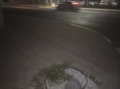 «Портал» в подземную жизнь открылся в Новороссийске: будьте осторожны 