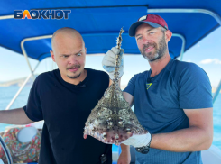 Сотрудники «Блокнота» пытались поймать катрана в акватории Новороссийска