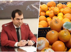 Фрукты в Новороссийске дорожают, пока проверяющие «меряются» обязанностями