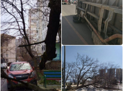 В воскресенье Новороссийск изрядно потрепал знаменитый своей силой норд-ост: когда стихнет ветер 