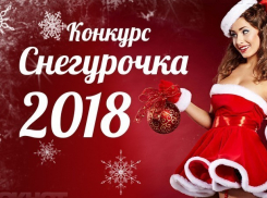 Стало известно, когда финальное голосование конкурса «Снегурочка-2018»