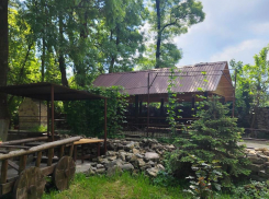 Лес, беседки и мангалы: отдых, не выезжая из Новороссийска