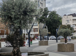 Погода в Новороссийске в понедельник: пасмурно и дождливо 