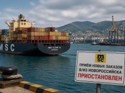 Новороссийск без MSC? Крупнейший перевозчик остановил прием новых заказов