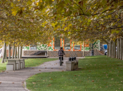 В Новороссийске празднуют те, кто «крутит» и те, кто крутится