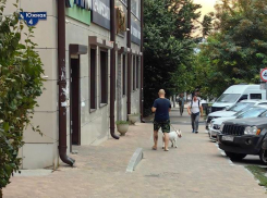 Новороссиец выгуливает бойцовскую собаку без намордника 