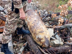 В лесу вдоль трассы М-4 «Дон» нашли бомбу: ее взорвут под Новороссийском 