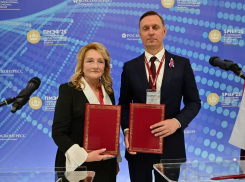 Порт с портом подружились: Новороссийск и Кронштадт будут сотрудничать