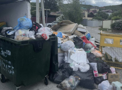 Коровьи головы и мебель с клопами: жительница Новороссийска о жуткой «мусорке» в Мысхако