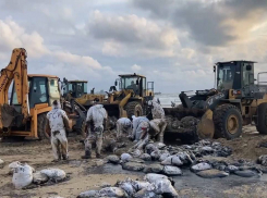 На Черном море «распускают» волонтеров: что насчет мазута? 