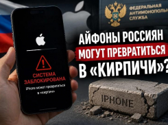 Айфоны россиян могут превратиться в «кирпичи»