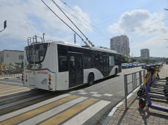 Общественный транспорт Новороссийска вошёл в число худших среди городов России 