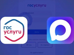 Для «Госуслуг» новороссийцам понадобится МАХ: госмессенджер станет обязательным с 1 сентября