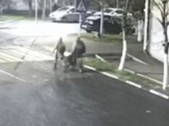 Неидеальное преступление: новороссийцы украли коляску и попались на видео