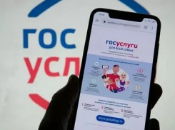 Новороссийцы могут стать жертвой мошенников, пользуясь порталом «Госуслуги»