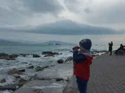 Рыбам звезды советуют быть конкретнее, а Овнам – поразмыслить перед решением