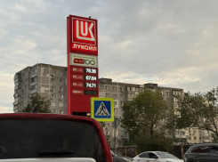 Бензин есть: о наличии топлива на АЗС в Новороссийске