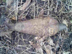 Два боеприпаса времен ВОВ обнаружены под Новороссийском
