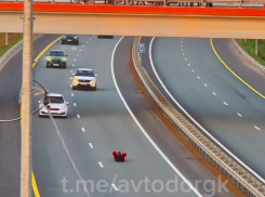 Почти Каренина: неадекватный мужчина разлегся прямо посреди скоростной трассы